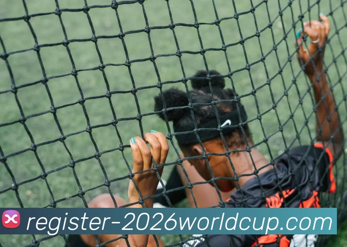 世界杯买球注册平台生态图